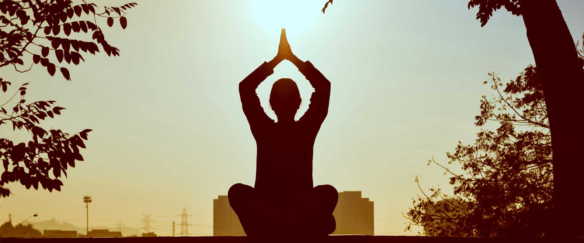 Wellness & Yoga Tour