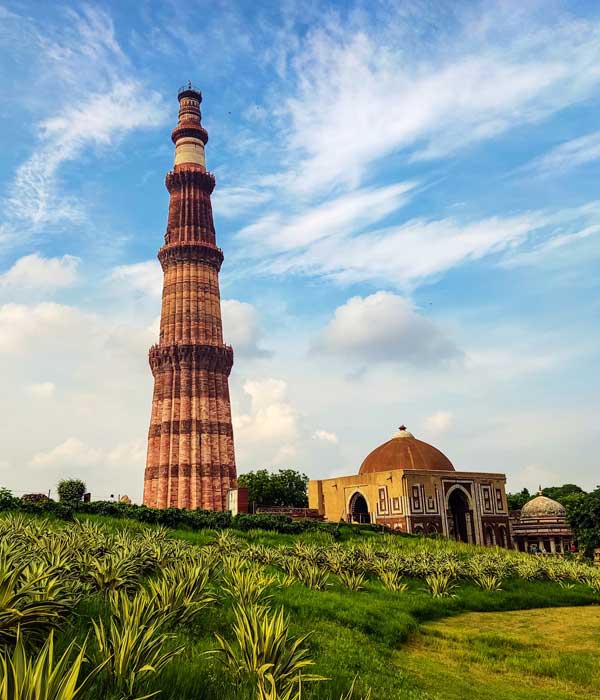 Luxury Same Day Tours